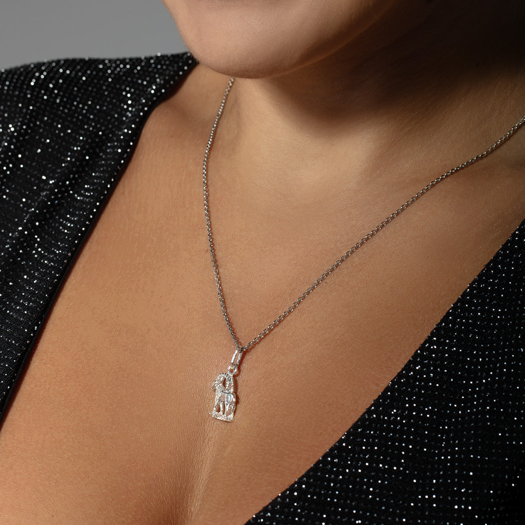 Wisiorek znak zodiaku - koziorożec