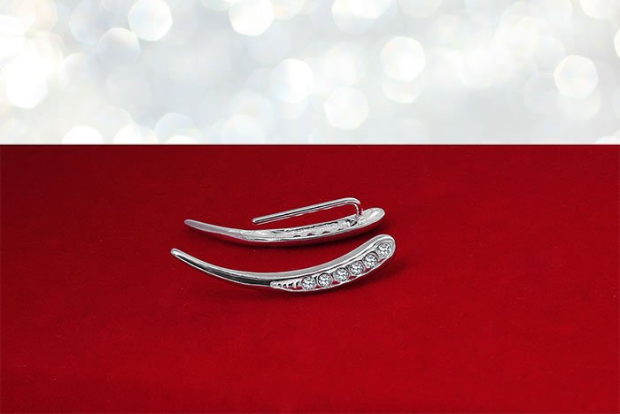 Nausznice z kamieniami