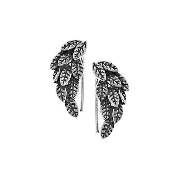 Nausznice liście oksydowane